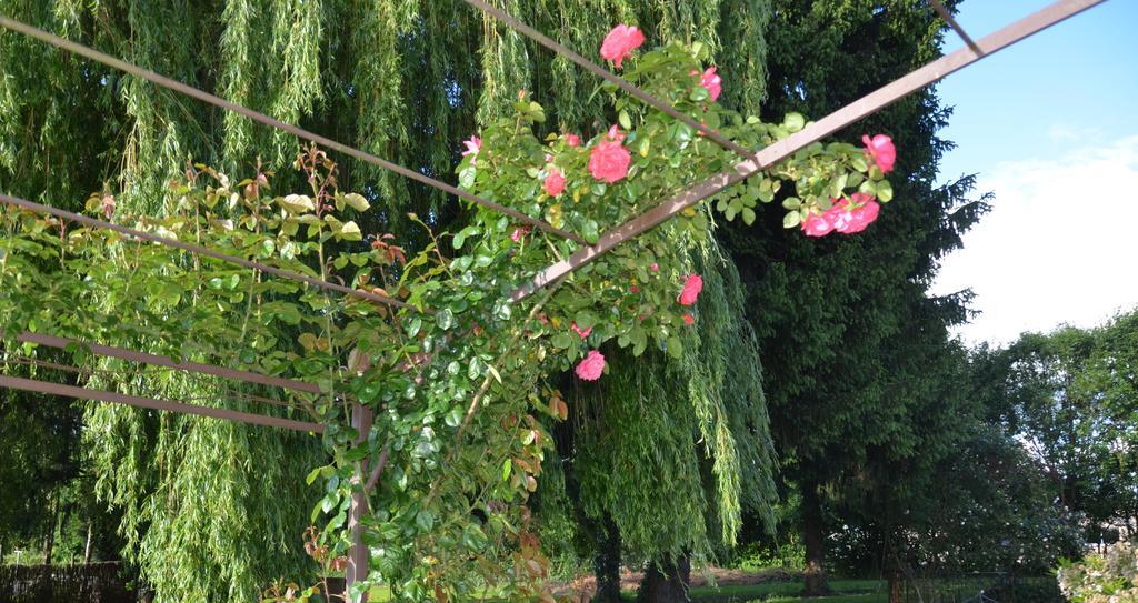 L'Arbre D'Alais Panzió Saint-Fulgent Kültér fotó